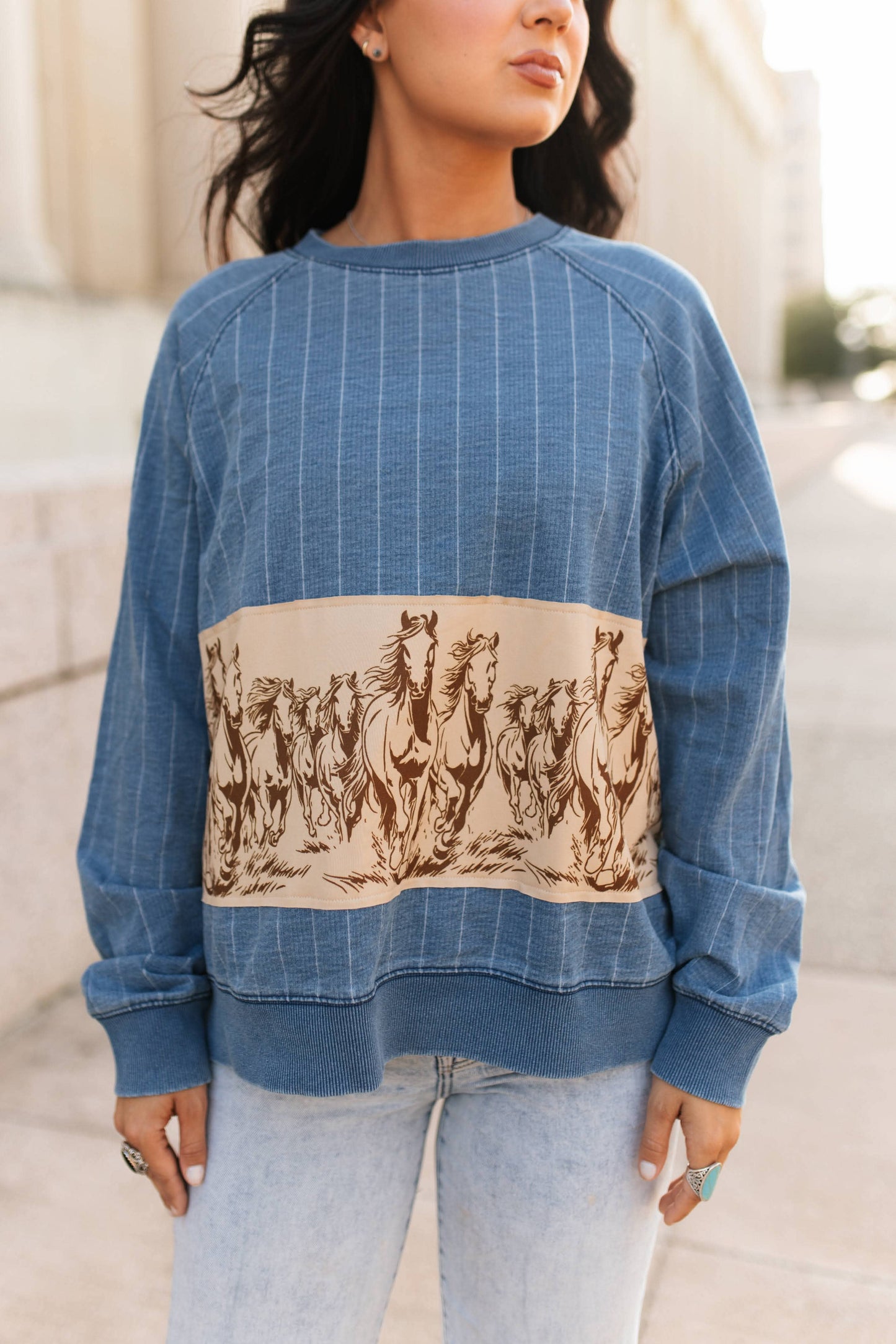 Horse Denim Striped Top
