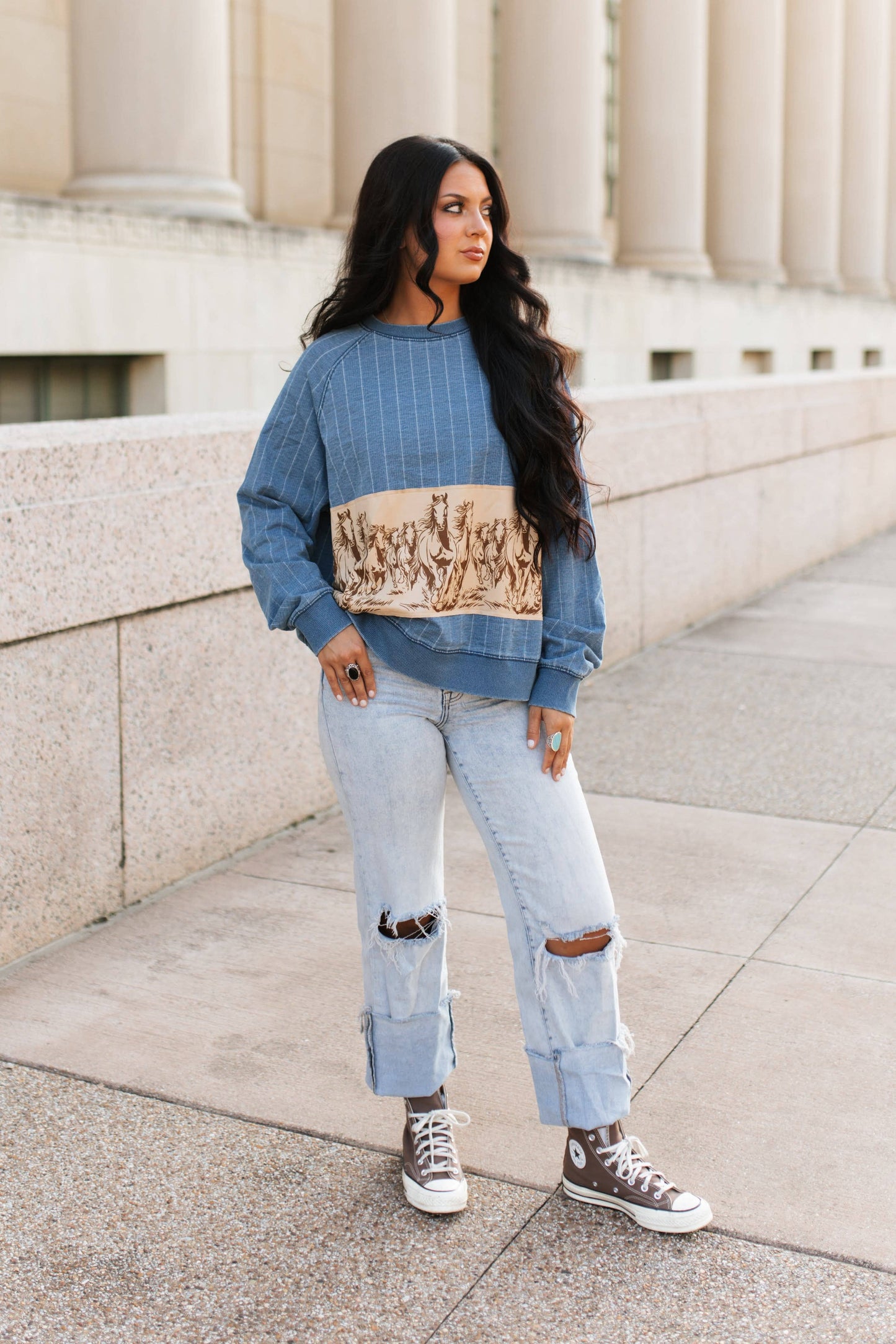 Horse Denim Striped Top
